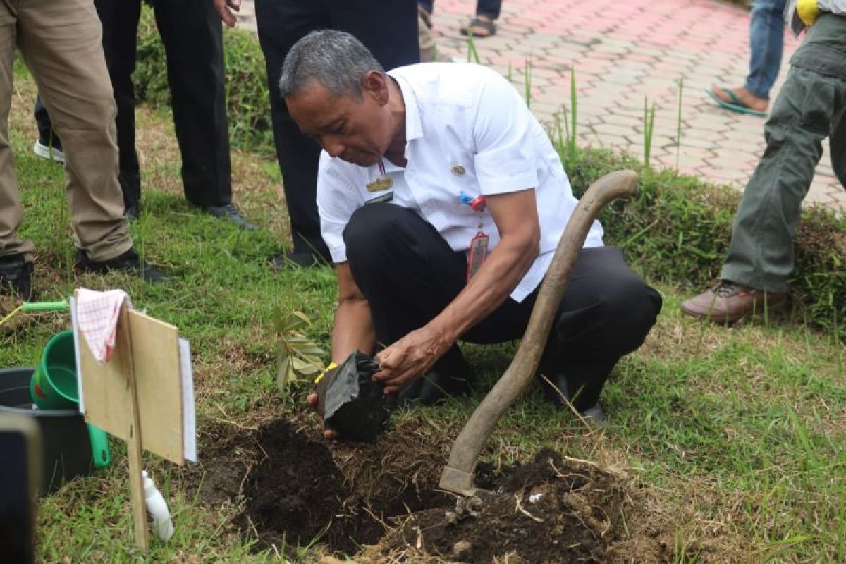 Pemkab Lampung Barat tanam 300 pohon durian tumi guna lestarikan hutan