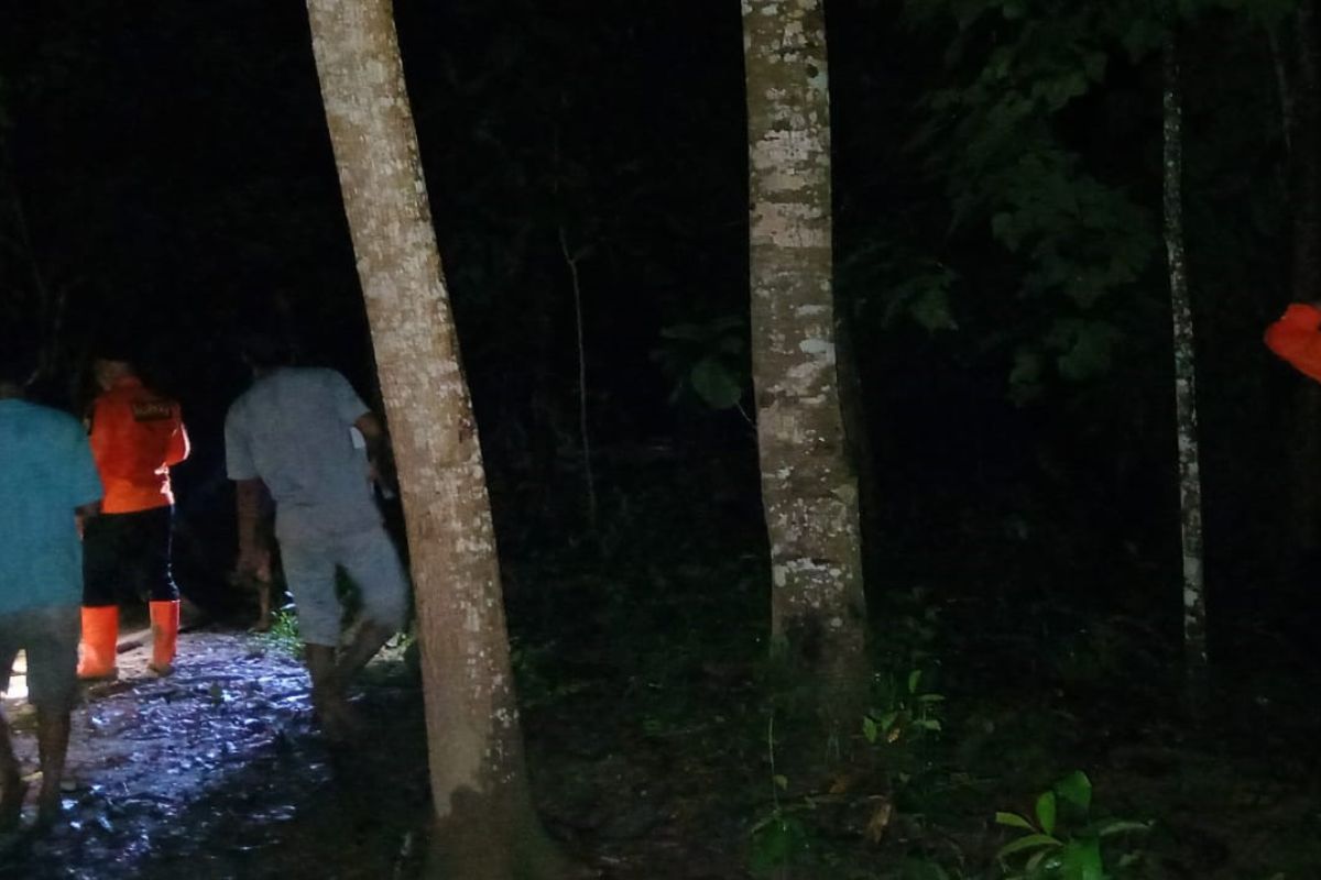 Basarnas Kendari cari pria yang hilang di hutan sagu