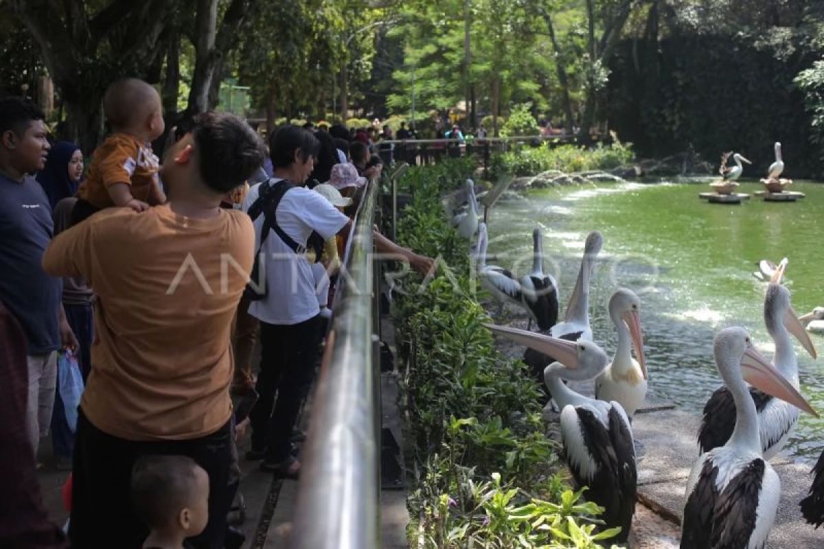 Taman Margasatwa Ragunan Jakarta sesuaikan jam operasional selama Ramadhan