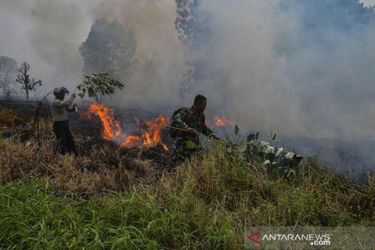 Riau daerah pertama status siaga darurat karhutla 2024