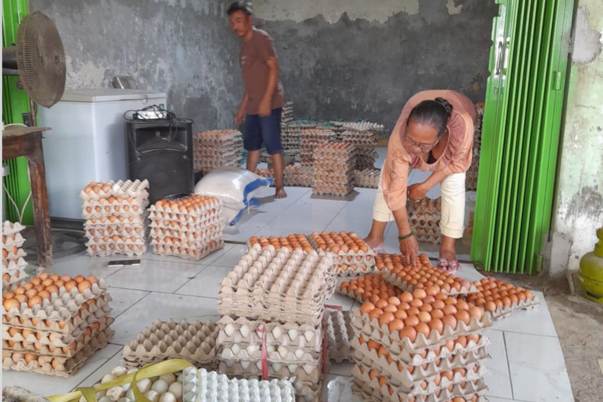 Dinas Pertanian Mataram memantau stok telur di distributor