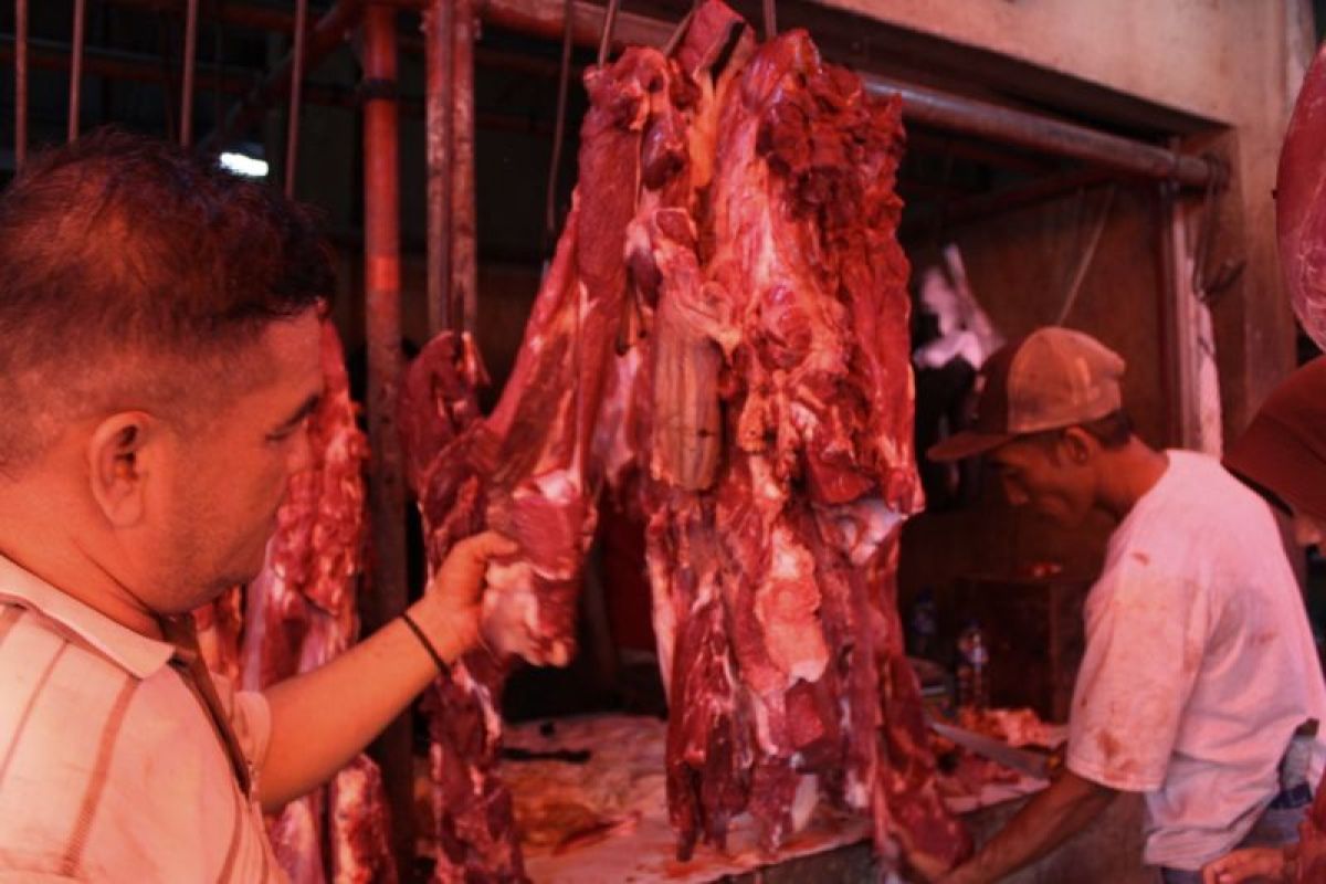 Disnakeswan Lampung catat ketersediaan sapi potong 29.334 ekor