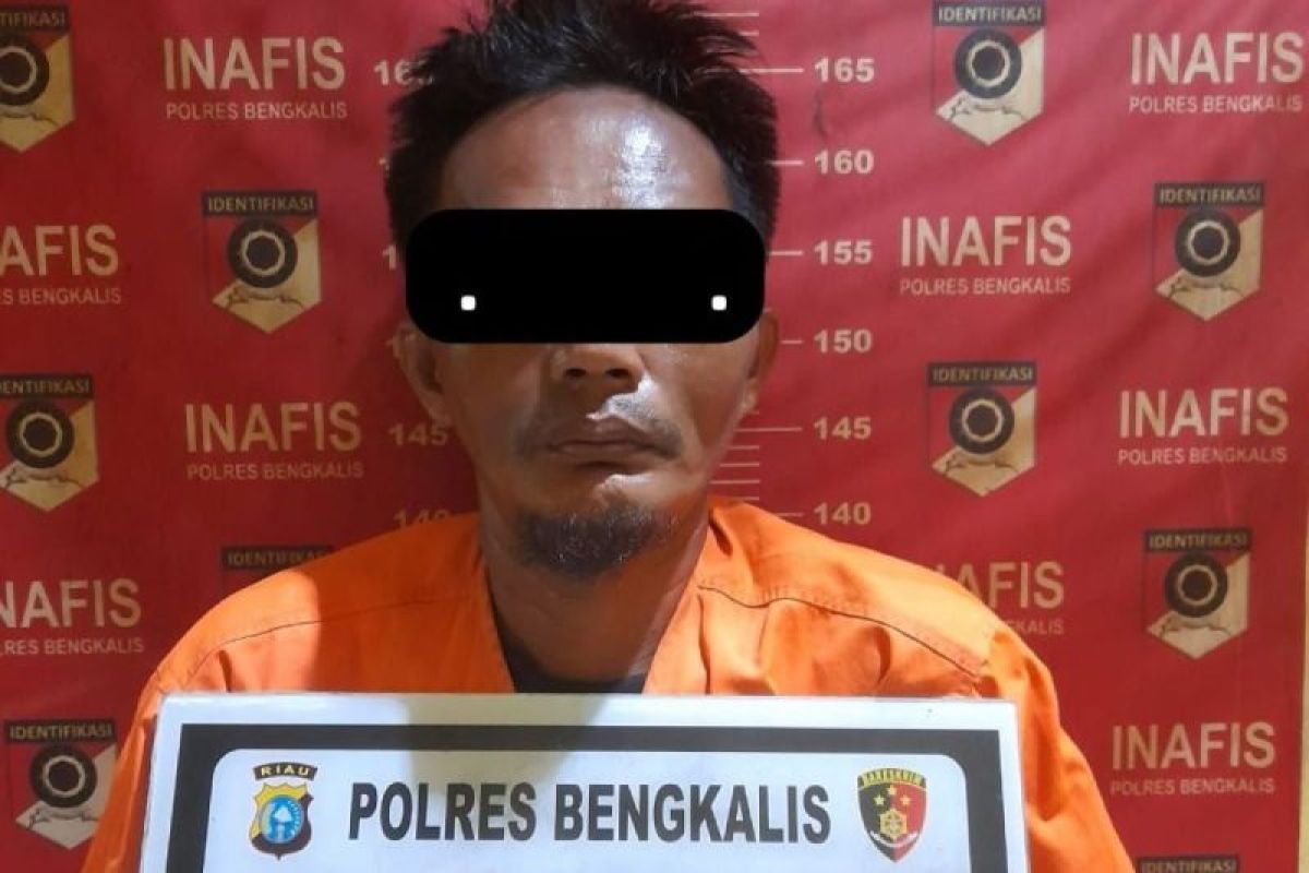 Polisi amankan 2,6 kg sabu dan kokain di Bengkalis, kurir dijanjikan Rp20 juta