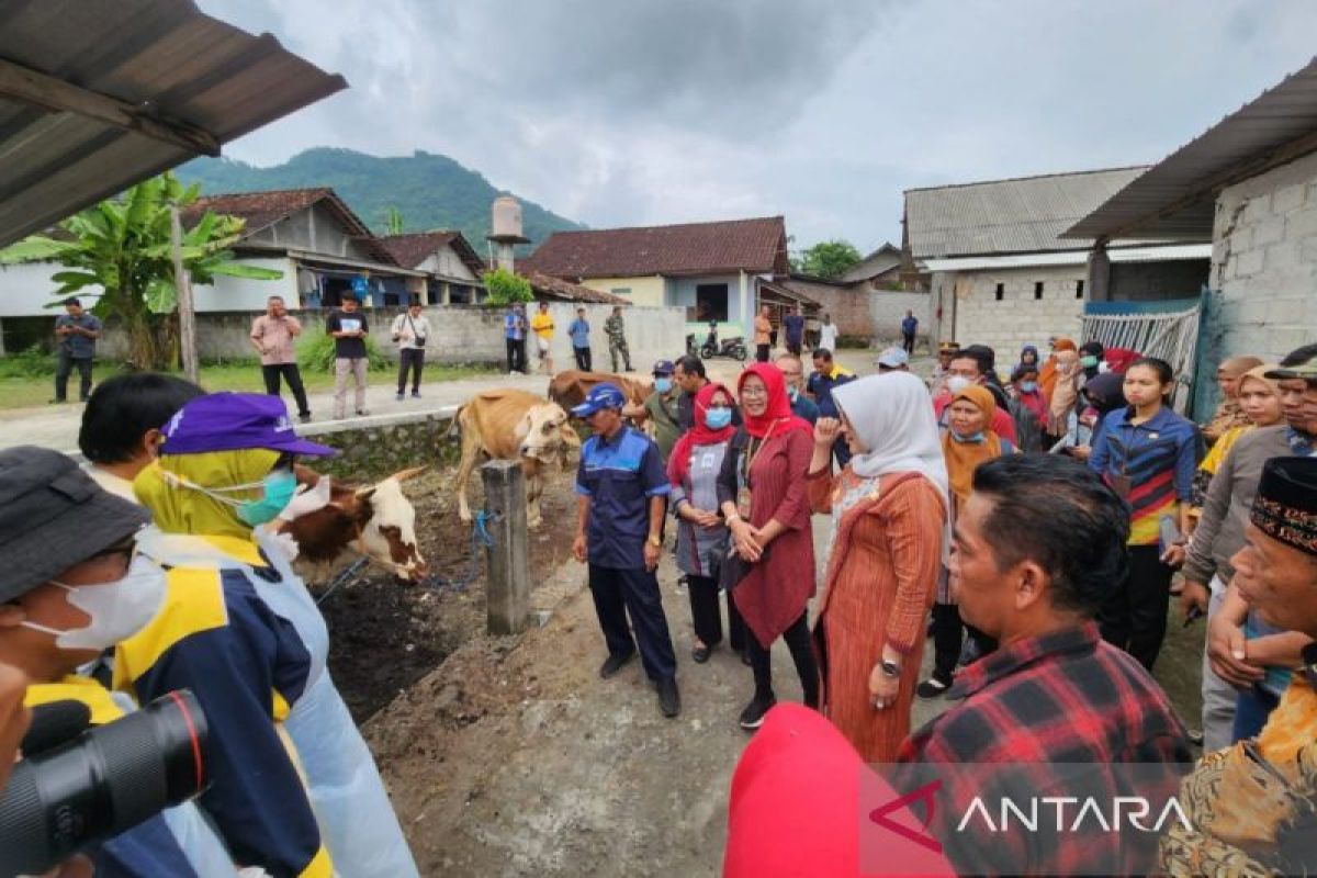 Pemkab Klaten antisipasi penularan antraks dari Gunungkidul