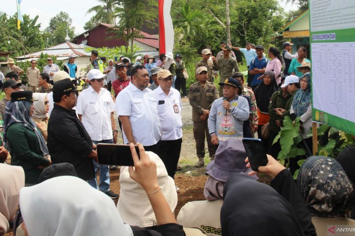 Pj Bupati meyakini optimalisasi lahan rawa pacu produksi padi di Pulang Pisau