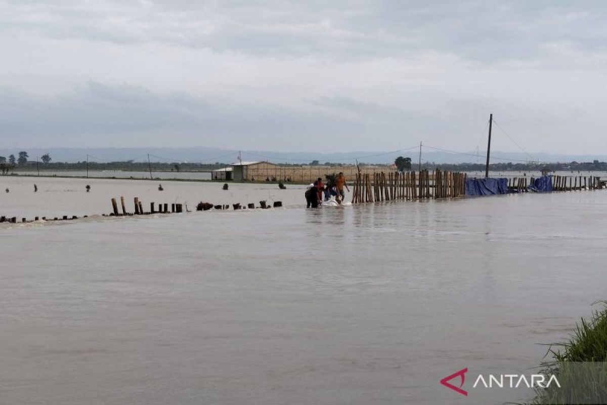 Tanggul jebol, banjir di Demak semakin meluas