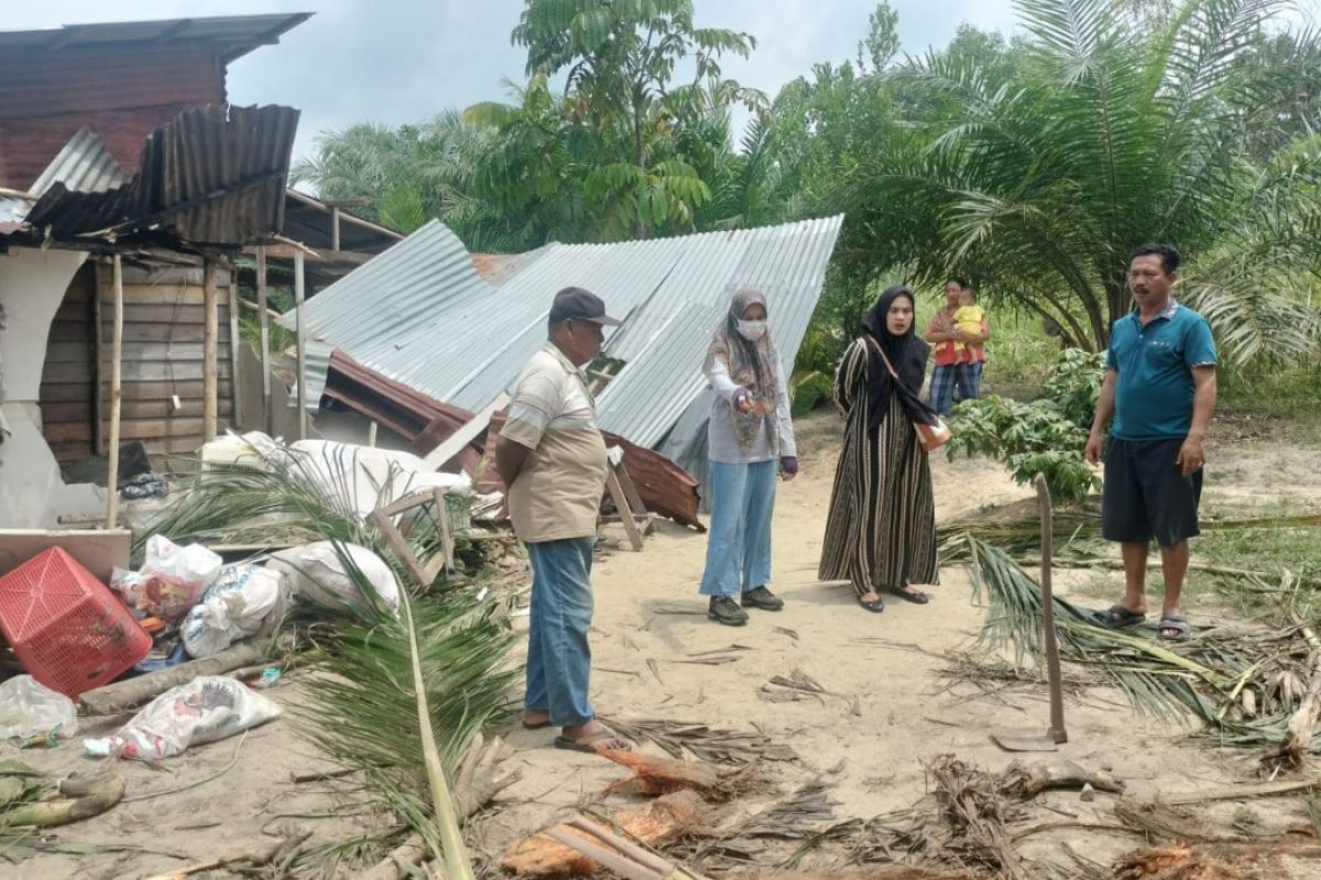 Gajah "Codet" rusak rumah warga di Kulim Batsol Bengkalis