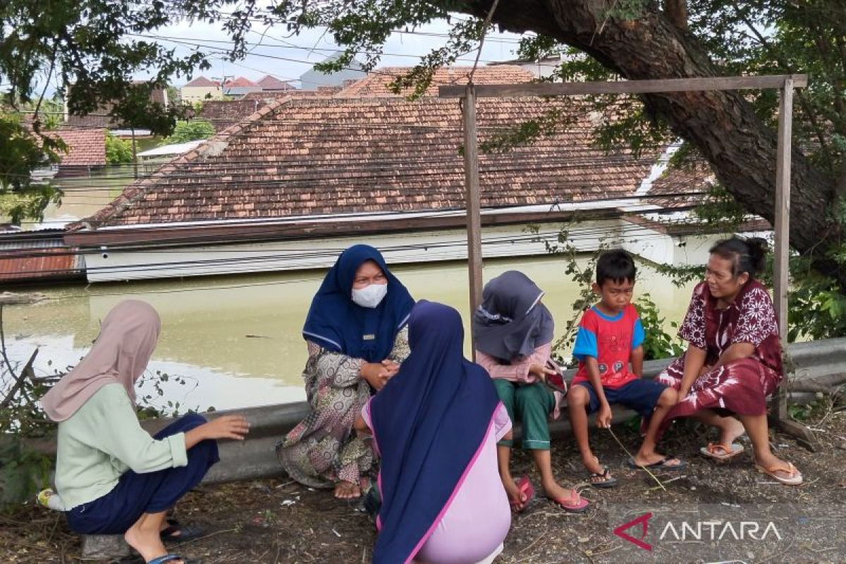 Tanggul Sungai Wulan jebol warga Demak kembali mengungsi