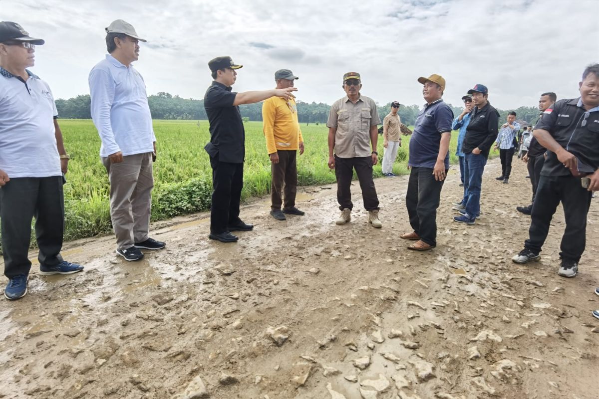 Cek jalan rusak, Pj Bupati Pringsewu langsung cari solusi