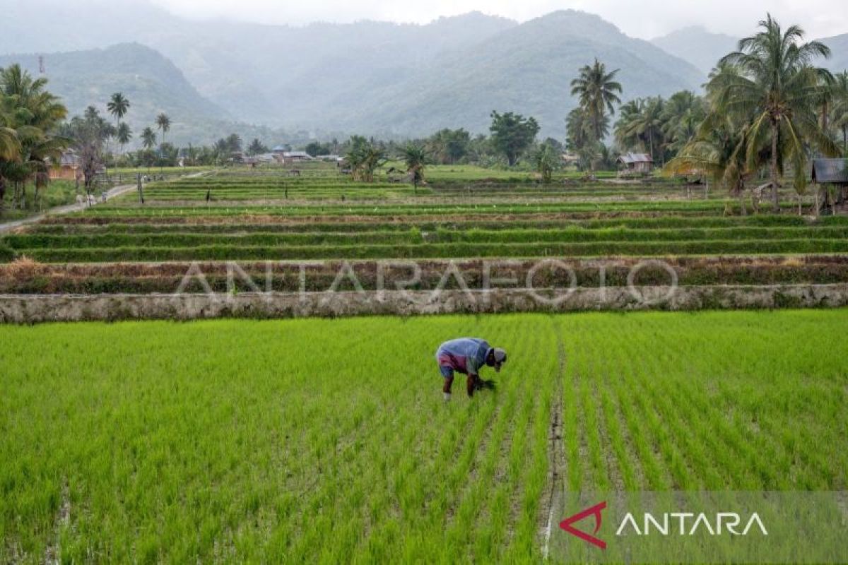 Menyatukan data dengan Indeks Desa demi bangun Indonesia