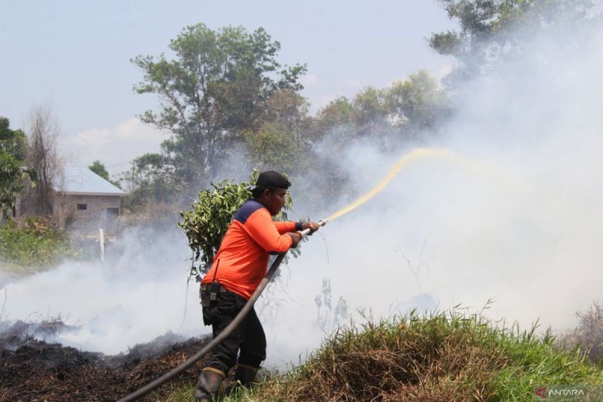 Tiga kabupaten di Riau siaga darurat karhutla