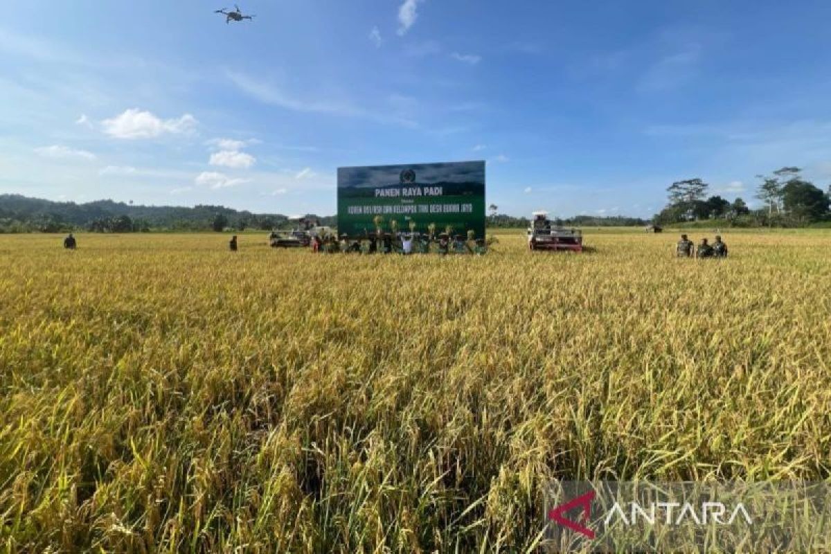 BRIN:  Data geoinfomasi bantu wujudkan ketahanan pangan