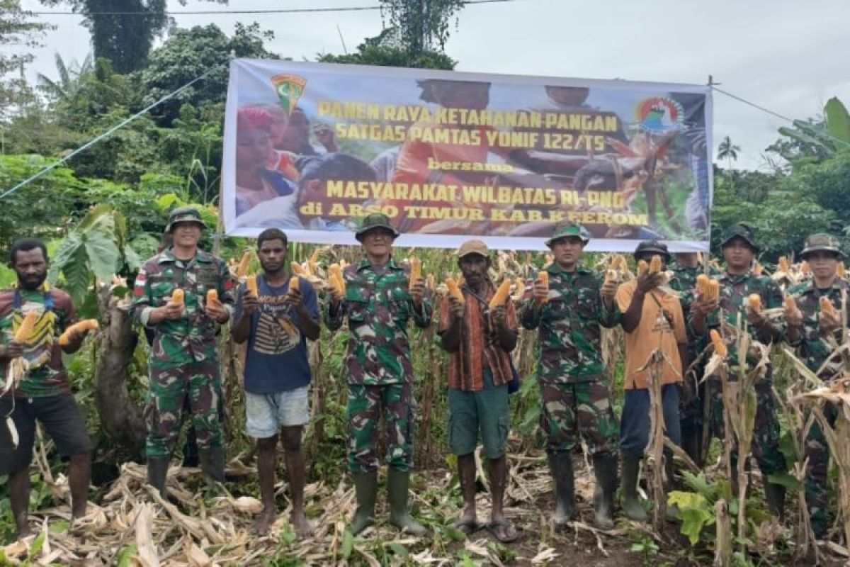 Satgas Yonif 122/TS lakukan panen raya jagung bersama warga Keerom