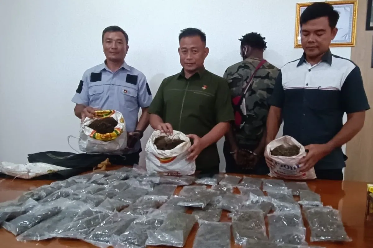 Two PNG Men Arrested for Marijuana Smuggling: Papua Police
