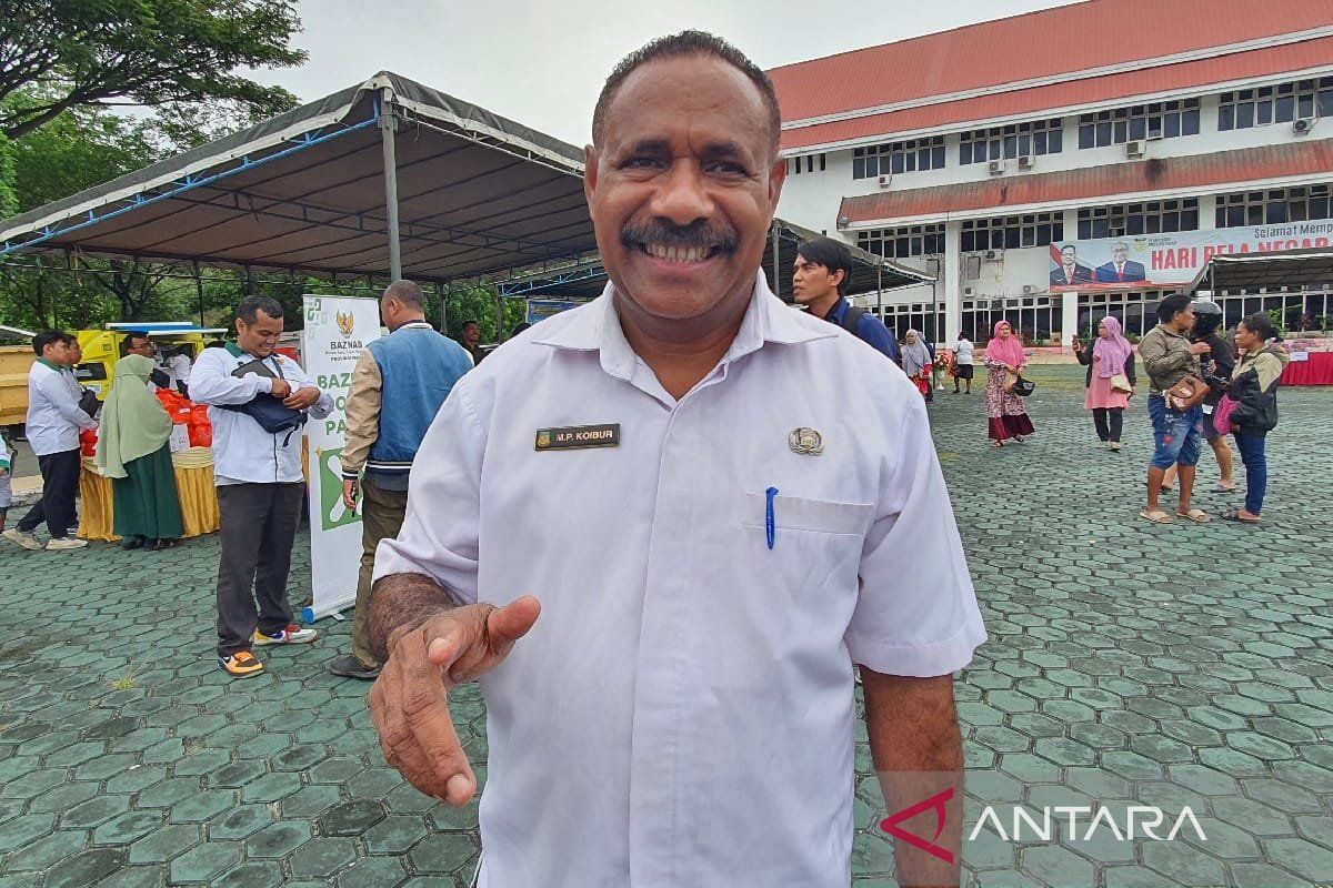 Pemprov Papua imbau peternak babi lakukan disinfektan mencegah ASF