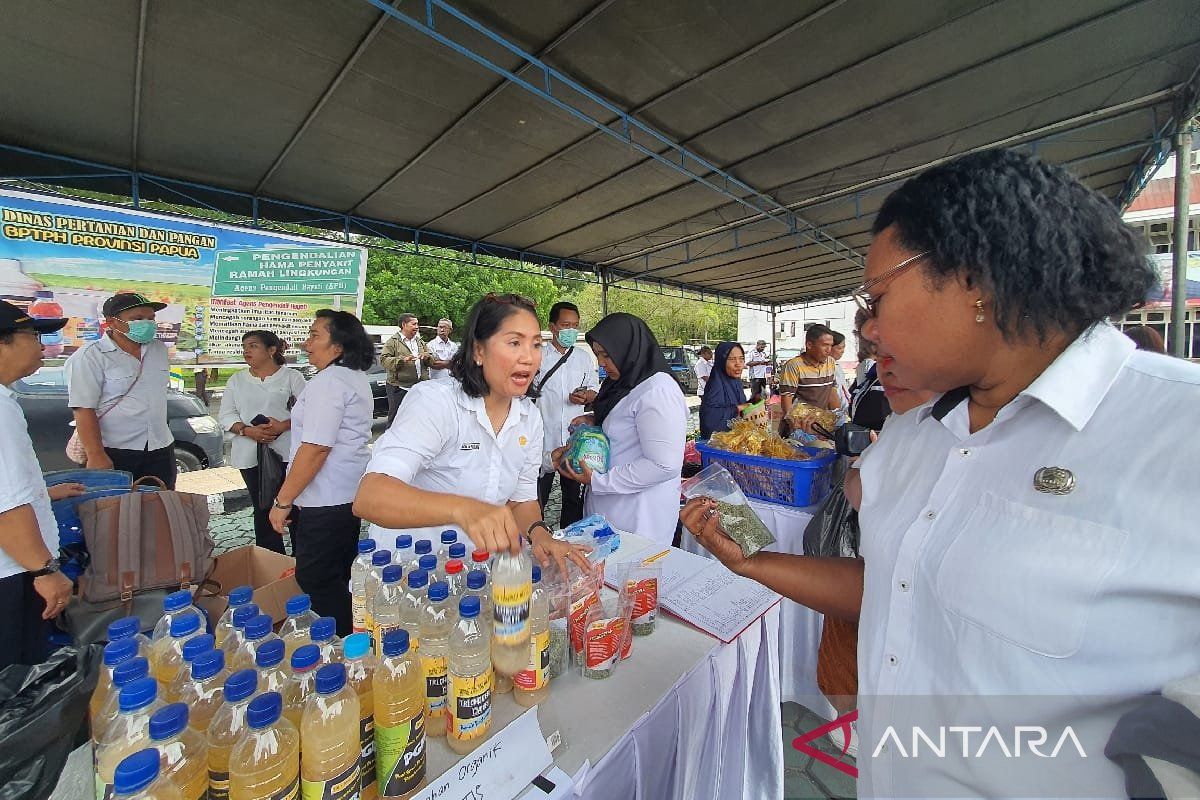 Pemprov Papua sediakan pupuk organik lokal bagi petani