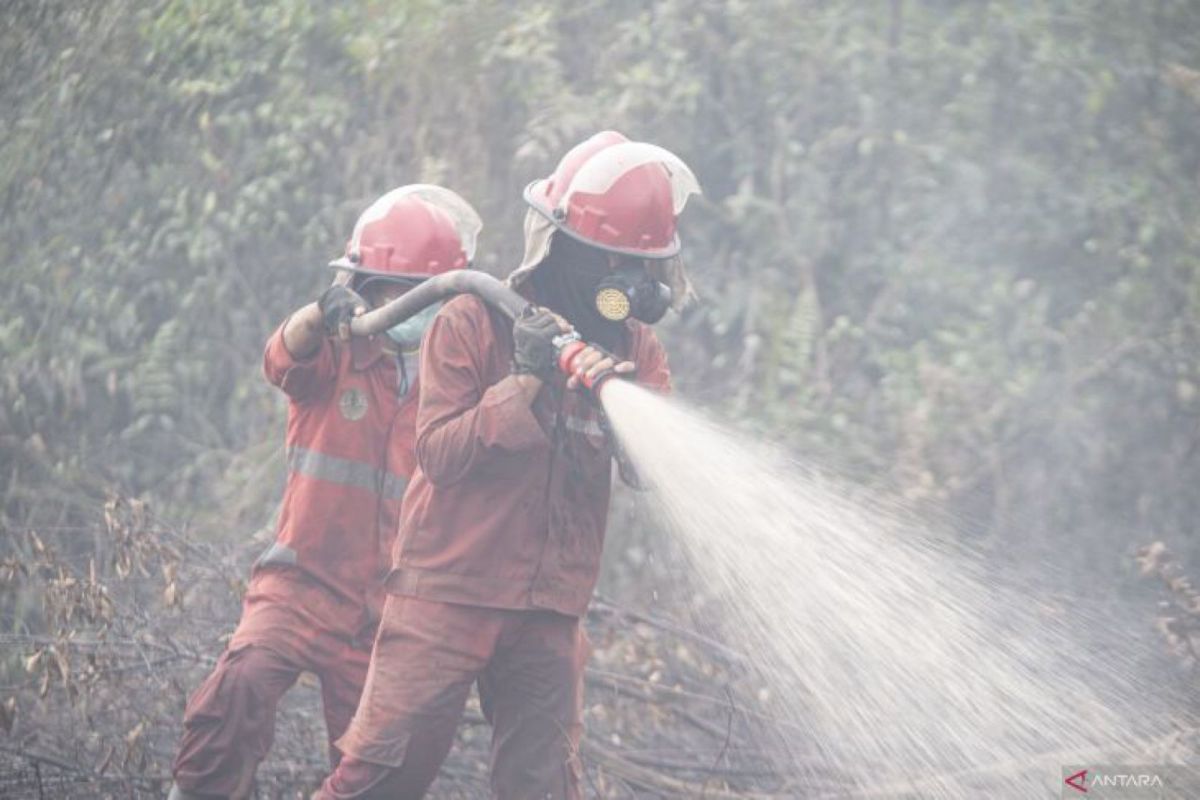 Siaga lebih awal, BPBD Sumsel prioritaskan penanganan karhutla di 4 daerah