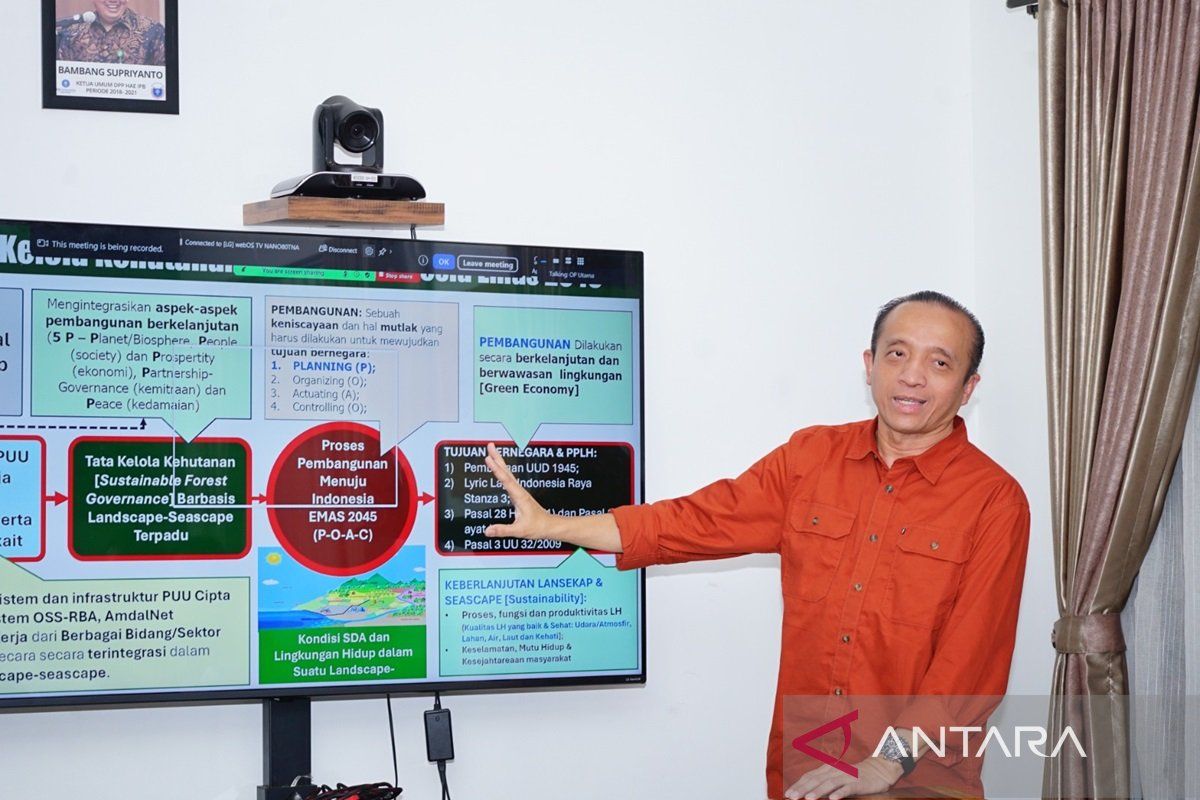 DPP HAE IPB gelar webiner tata kelola kehutanan menuju Indonesia Emas 2025