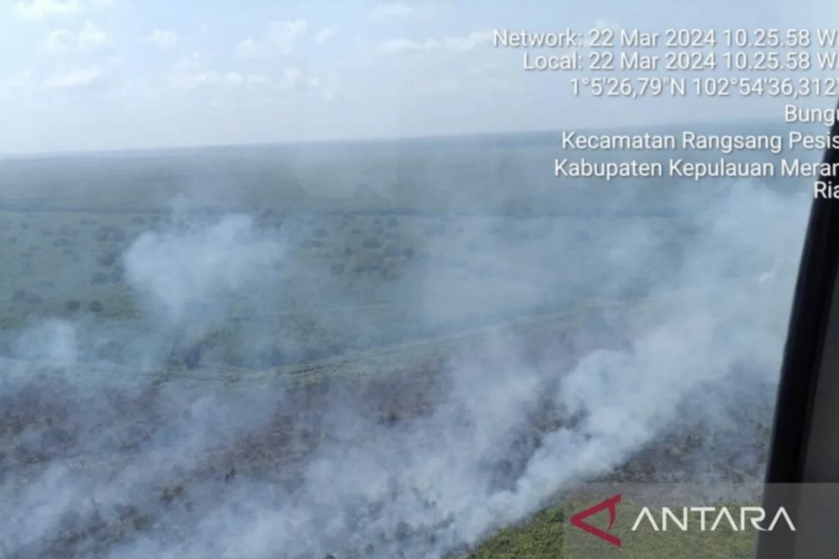 Kebakaran lahan di Meranti meluas, capai 40 hektare lebih