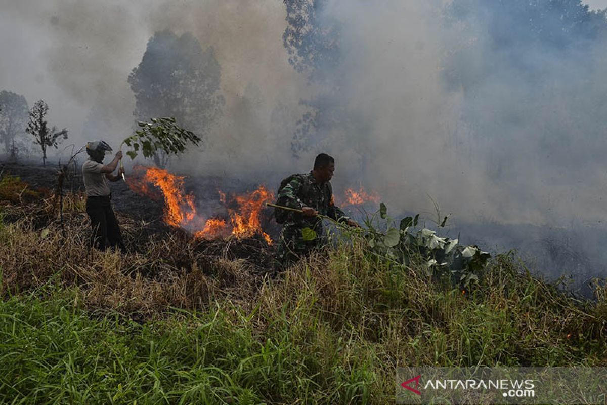 Tim gabungan BPBD, TNI/Polri   bekerja keras padamkan Karhutla di Meranti