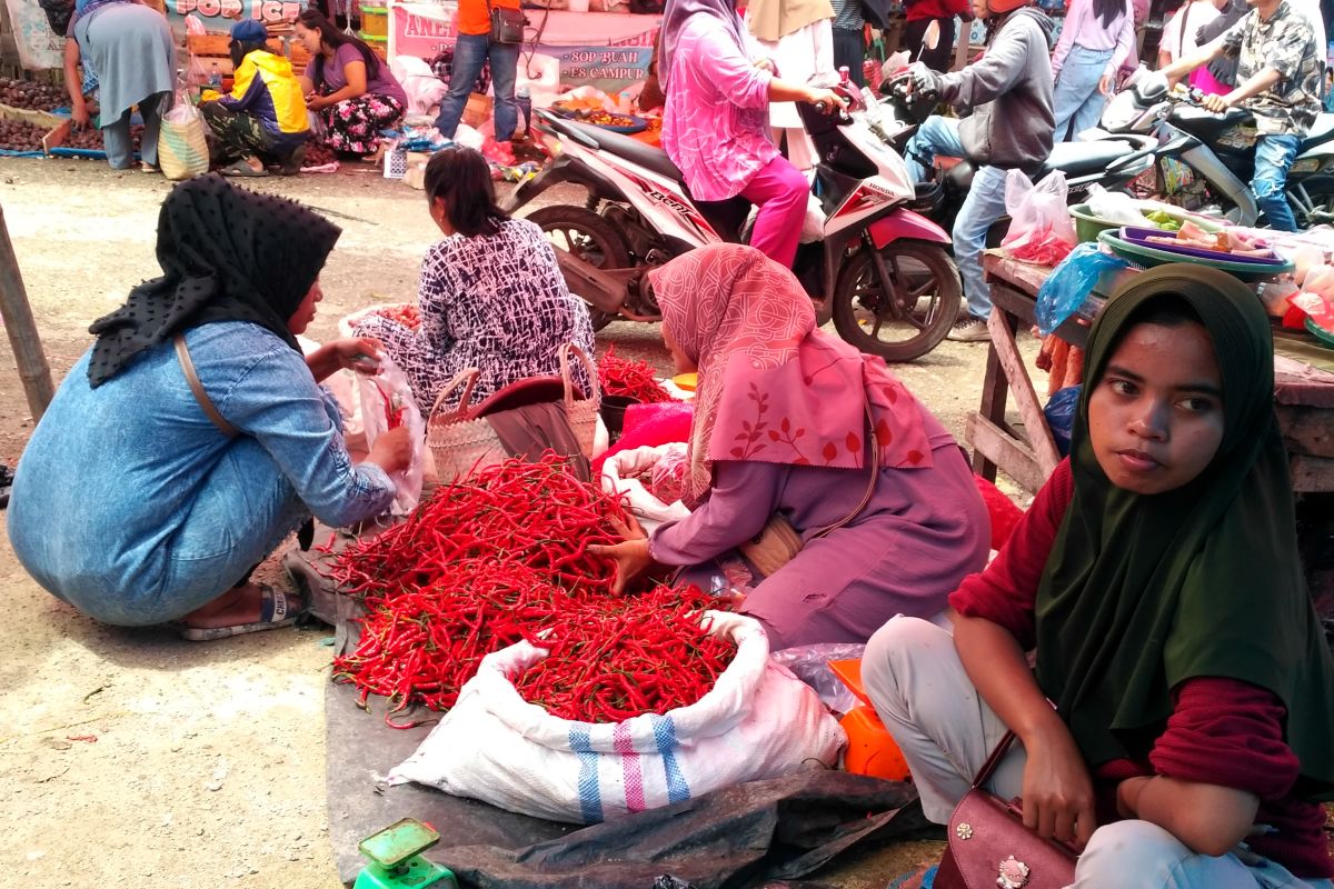 Solok Selatan bakal gelar bazar pangan murah jelang Idul Fitri