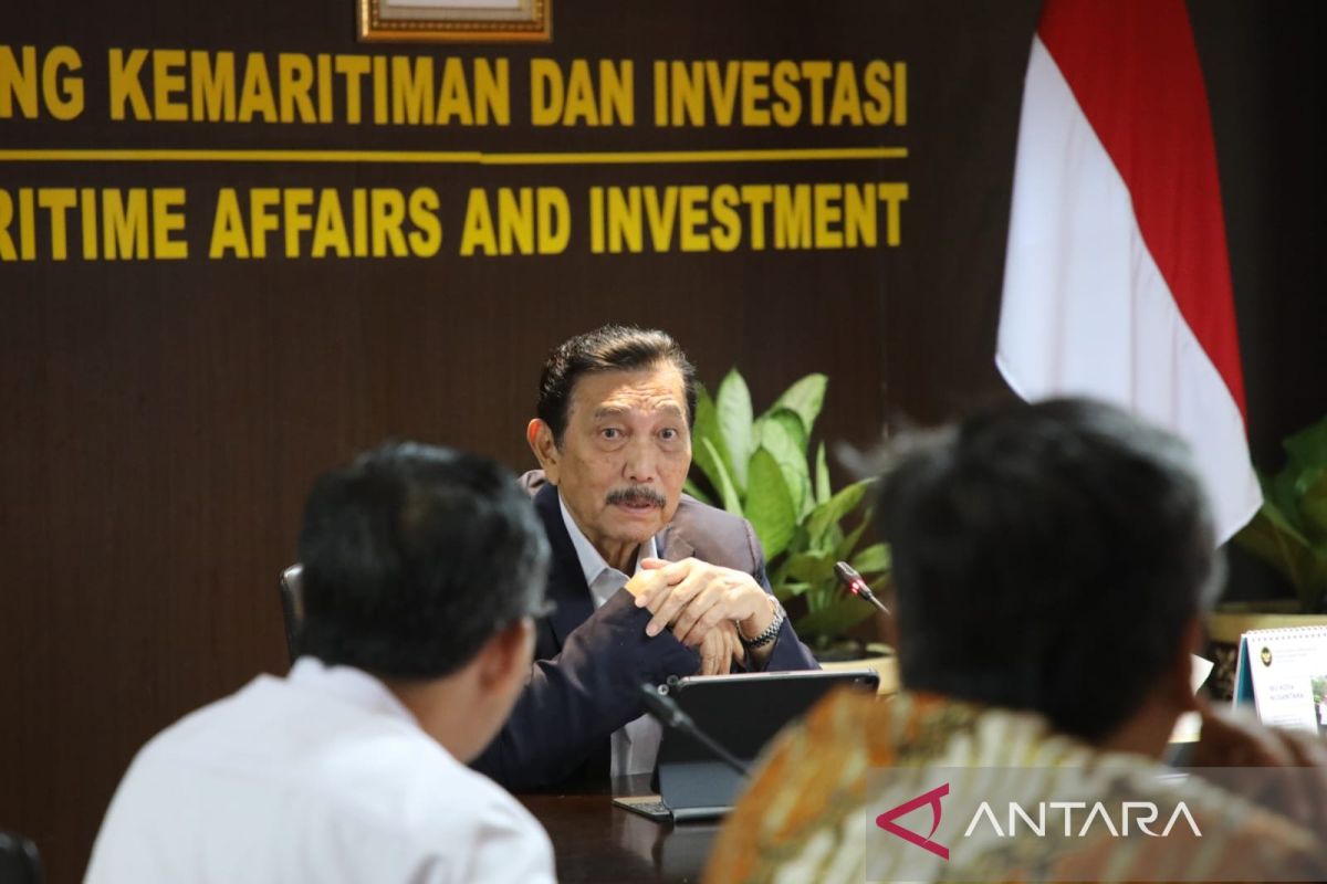 Luhut komitmen tuntaskan pembayaran utang selisih harga minyak goreng