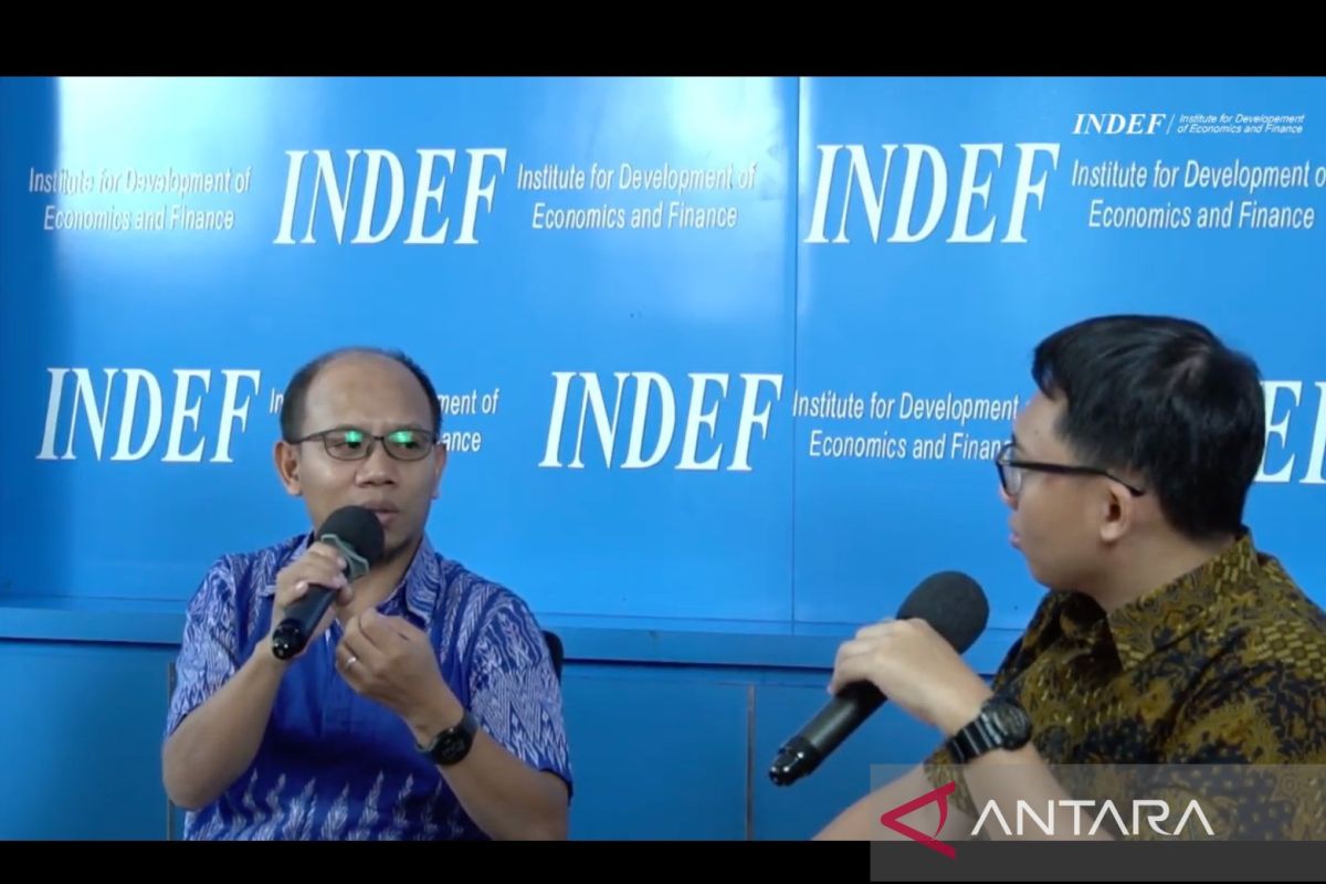 Indef meminta pemerintahan baru optimalkan sektor pangan