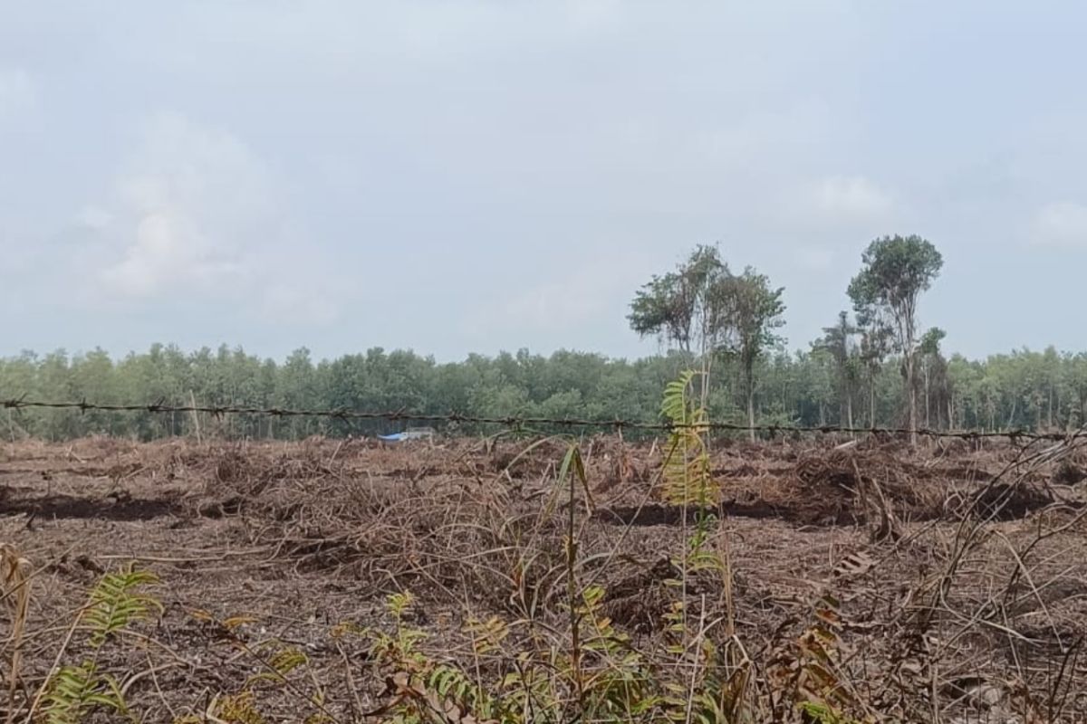 Masyarakat Olak Sungai Mandau tolak lahan 285 ha dikerjasamakan dengan perusahaan