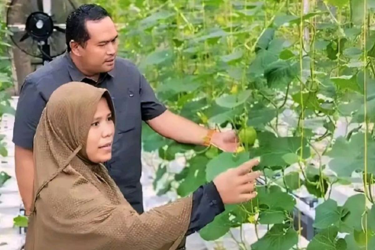 Desa di Pariaman kembangkan inovasi peluang usaha warga