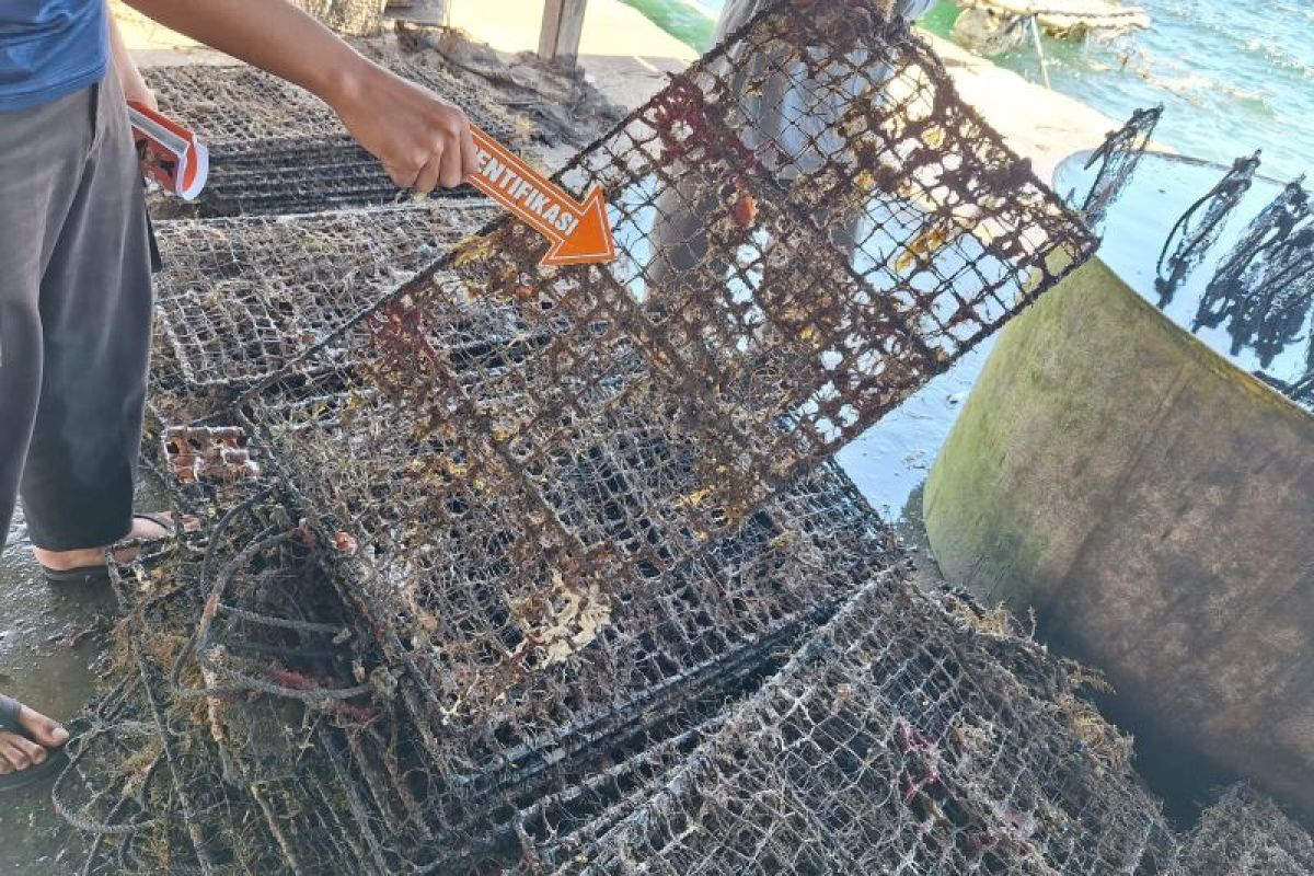 Kerang senilai Rp772 Juta milik warga Lombok Timur raib dicuri maling