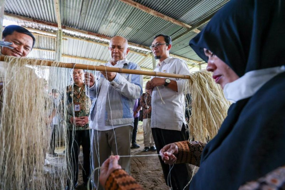 Serat rami potensial untuk industri tekstil di Indonesia