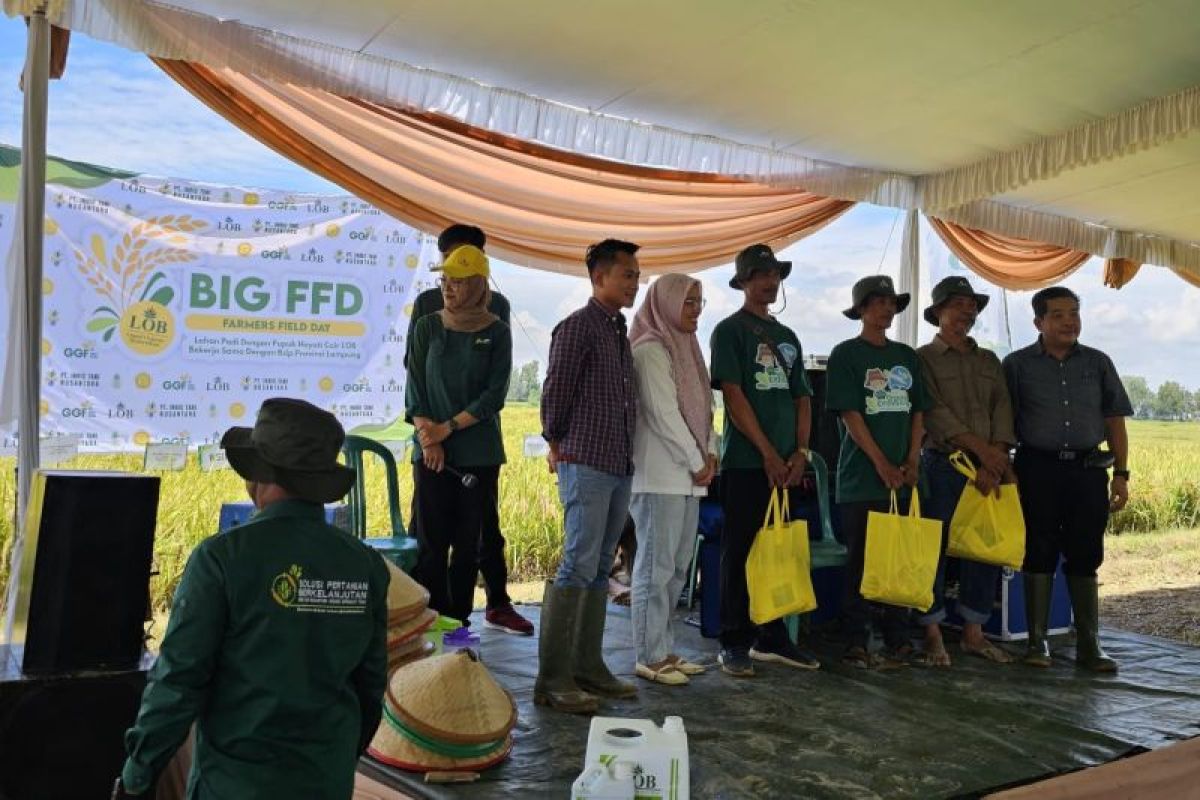 Panen raya demo padi kerja sama BSIP Lampung dengan GGF