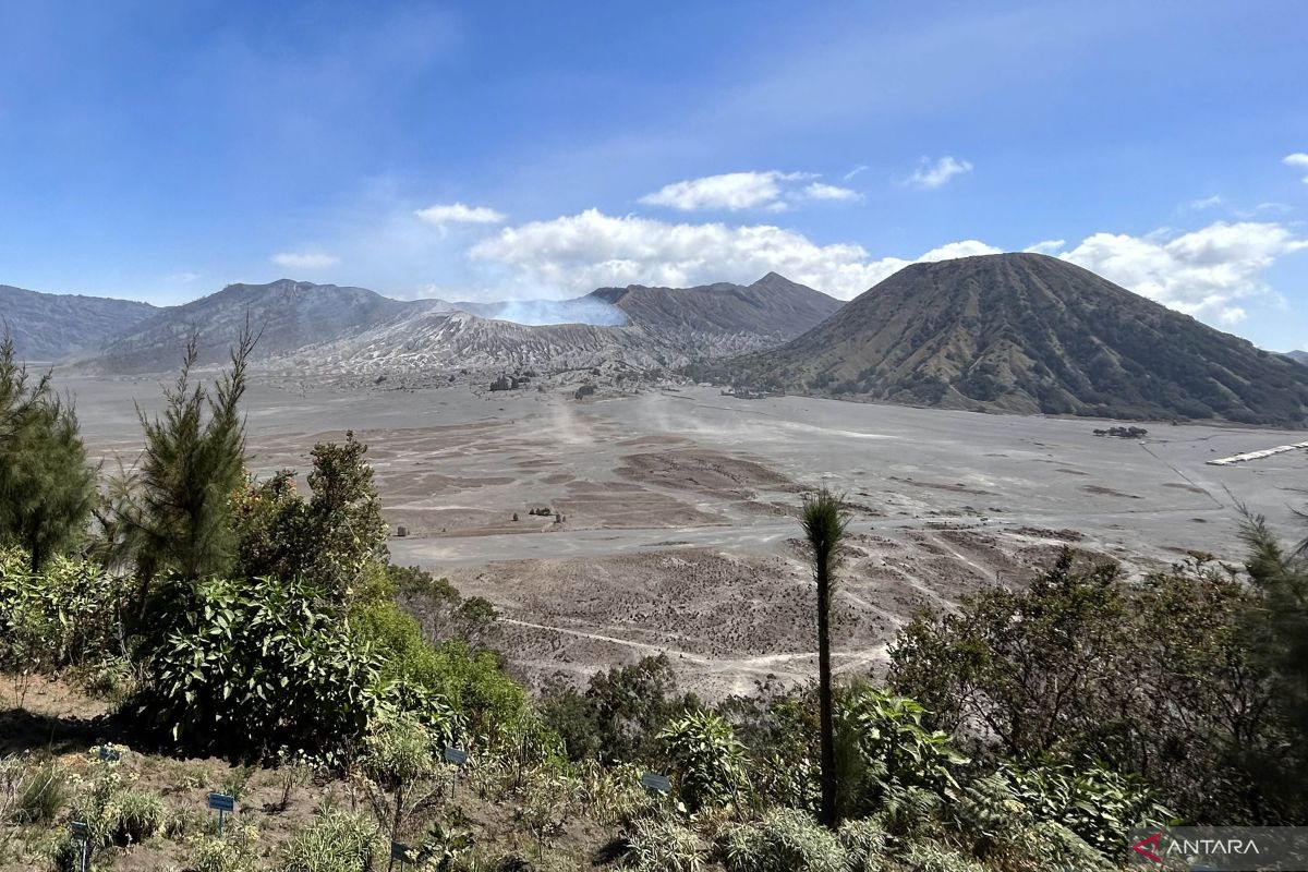 Objek Wisata Gunung Bromo ditutup total untuk pembersihan kawasan