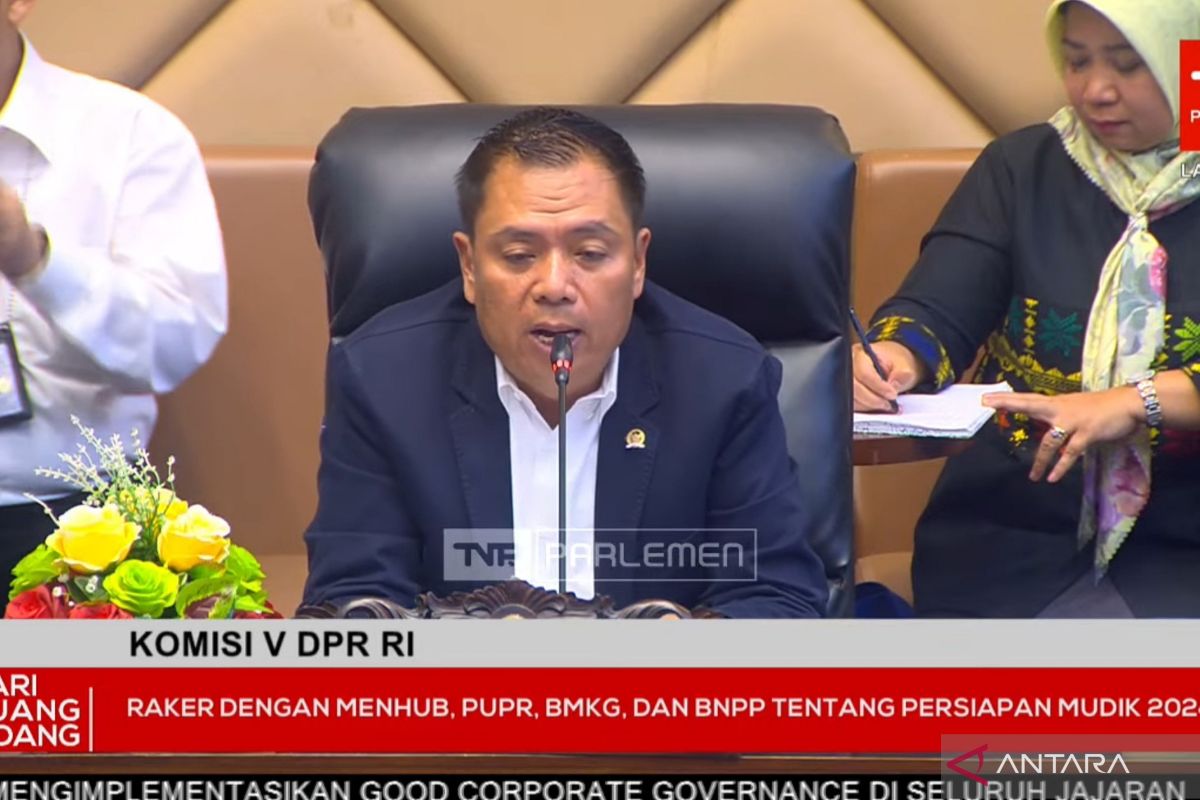 Komisi V DPR meminta harga tiket pesawat lebih murah saat mudik