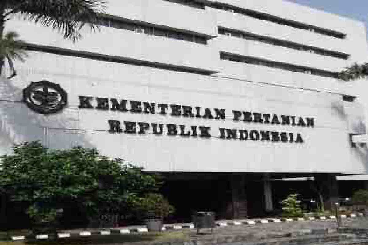 Kementan ungkap korupsi lewat proyek fiktif senilai Rp27 miliar