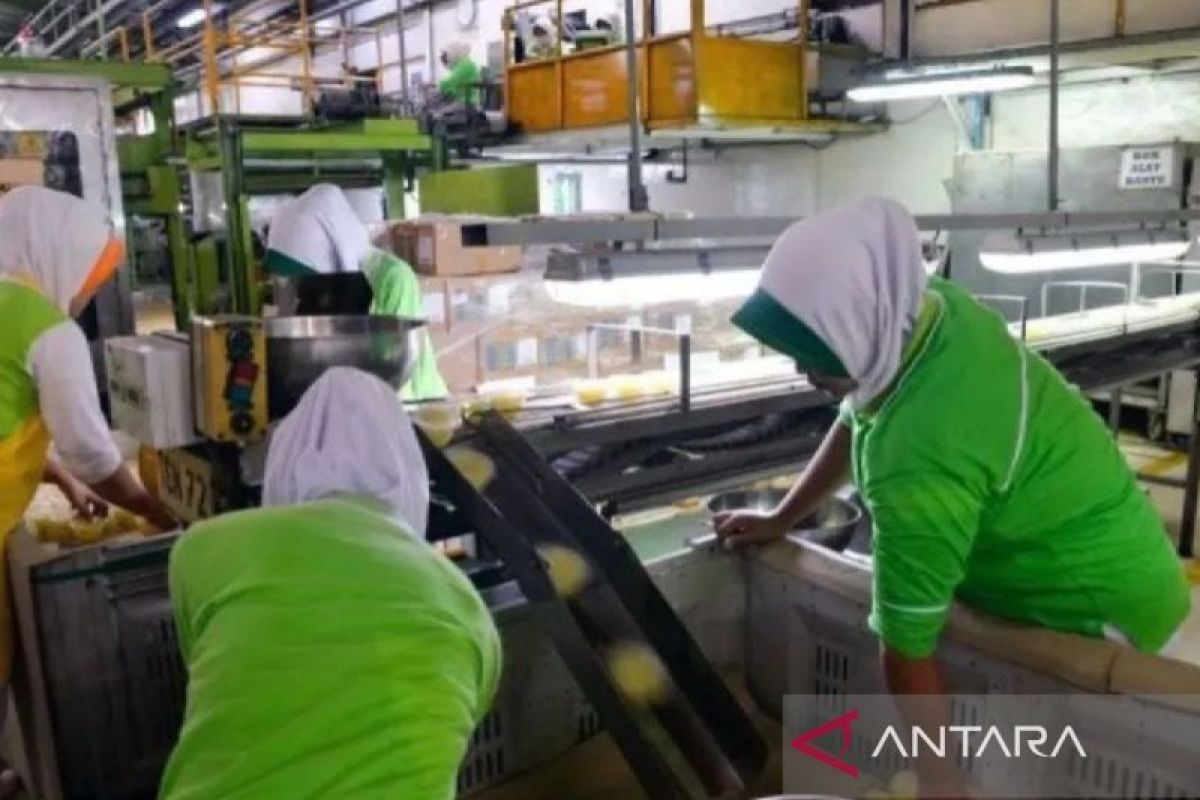 Perlu kejelasan insentif guna tingkatkan industri manufaktur