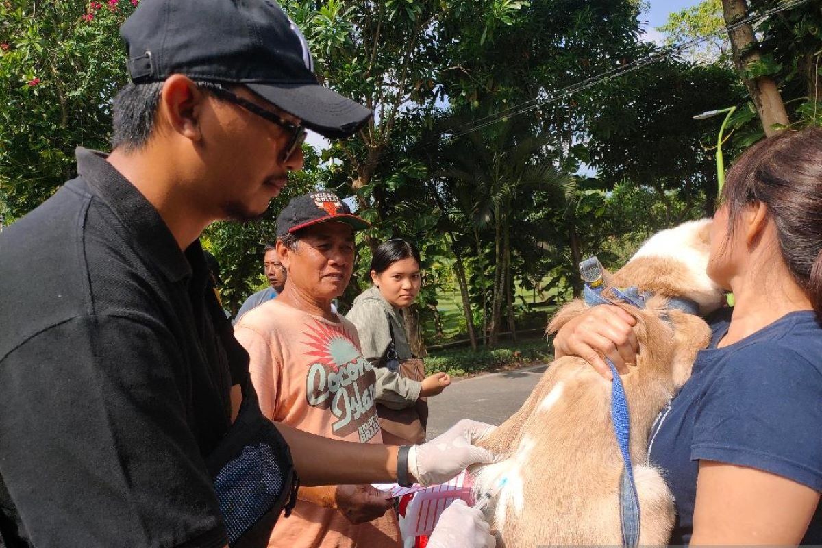 Distan Denpasar targetkan vaksinasi rabies di 2024 sasar 73.975 HPR