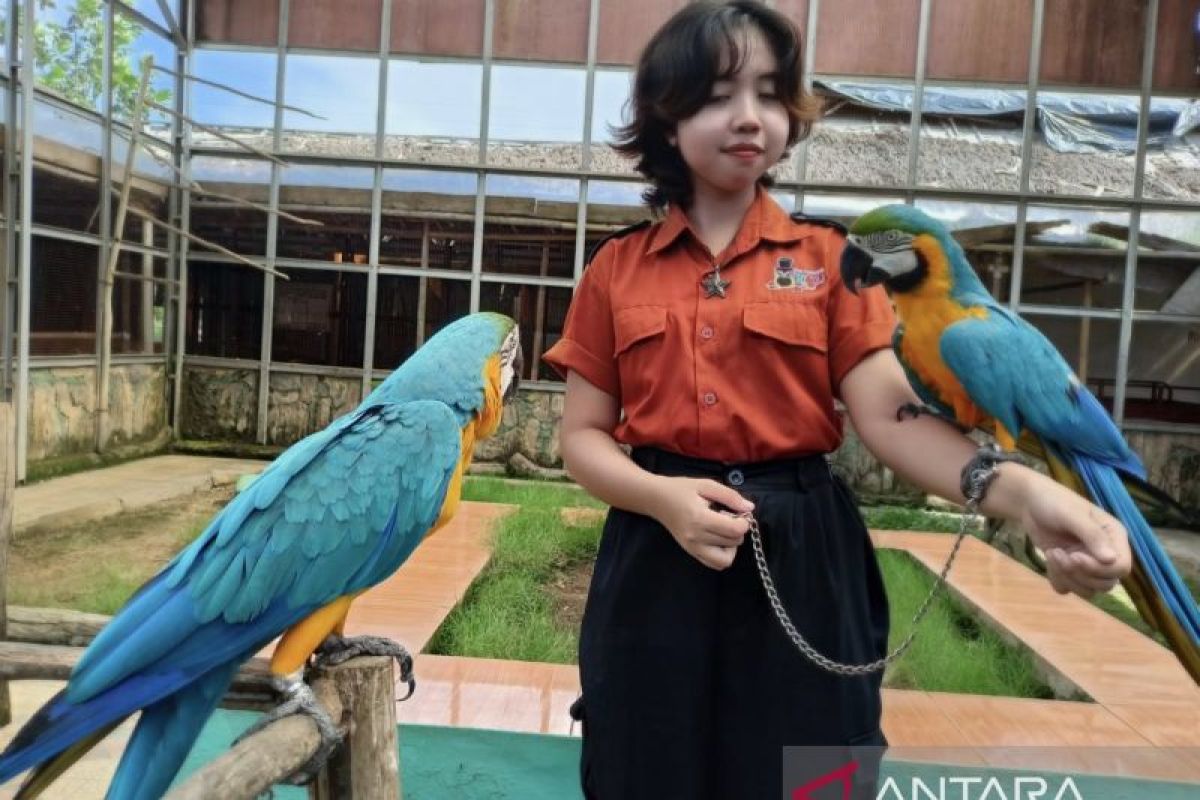 Wisatawan kunjungi arena taman burung saat Lebaran di Palembang