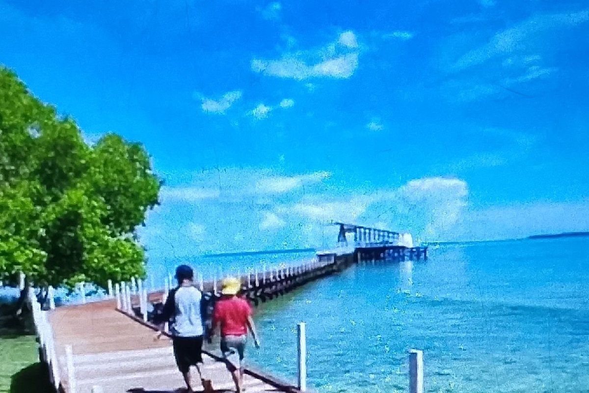 Objek wisata Taman Mangrove Ruar destinasi pilihan liburan Lebaran