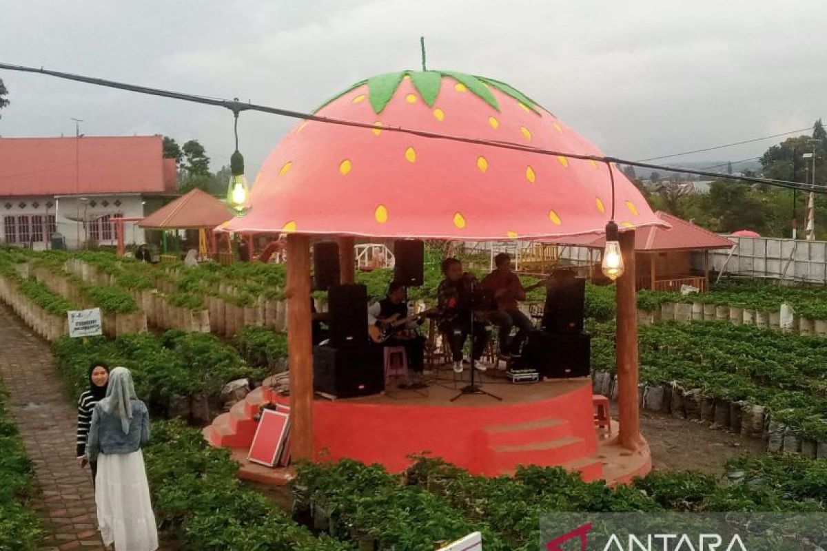 Pengunjung objek wisata kebun stroberi Solok ramai saat libur Lebaran