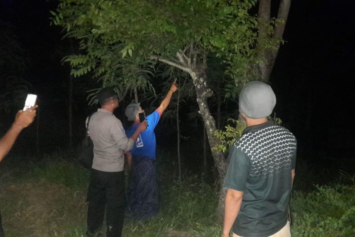 Miris!! gara-gara putus cinta, Seorang pelajar MTs di Lombok Timur gantung diri