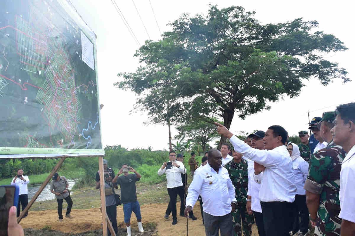 Kementan optimalisasi lahan rawa