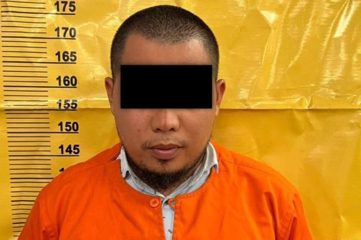 Pria Rohil diringkus polisi usai manipulasi suara hakim MK di media sosial