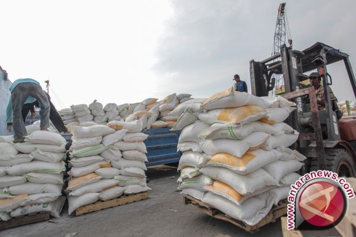 Kemendag sebut tengah lakukan revisi impor bahan penolong tepung terigu