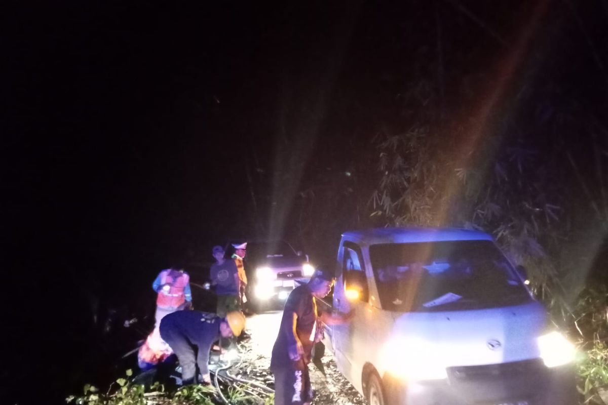 Polisi lakukan evakuasi pohon tumbang di Jalan Lintas Barat Krui