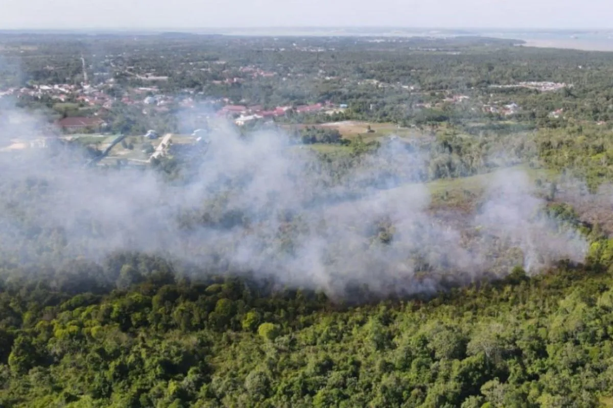 east-kalimantan-hotspots-decreases-from-383-to-202bmkg