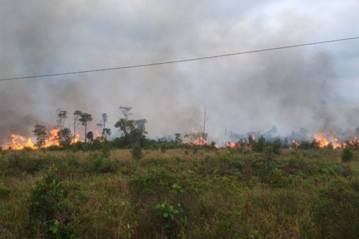 BPBD Natuna padamkan kebakaran lahan di Kecamatan Bunguran Selatan