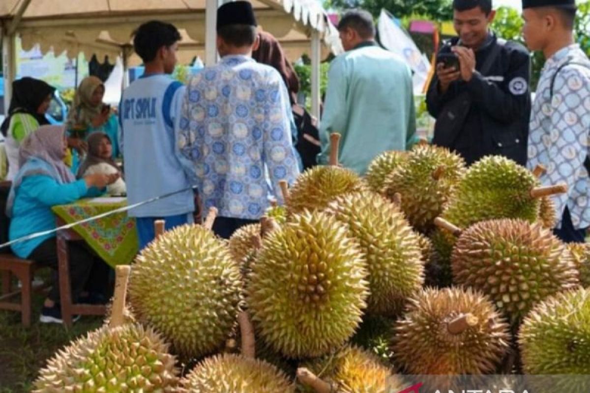 Solok Selatan gelar lomba membuka durian tercepat