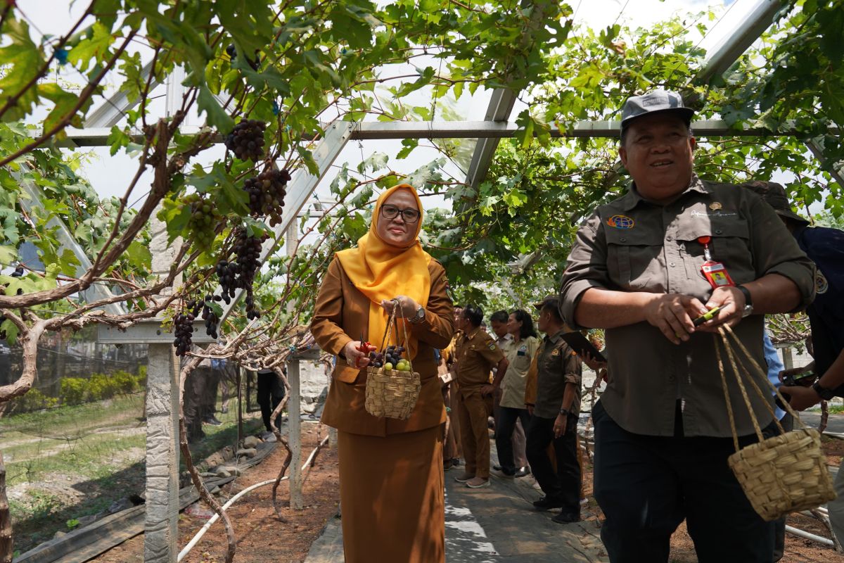 BPN Sulteng membantu kesejahteraan warga lewat reforma agraria