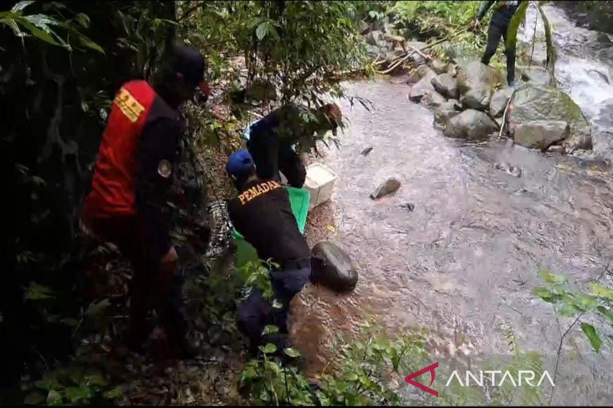 10 ular sanca dilepas ke hutan lindung Kota Pekalongan